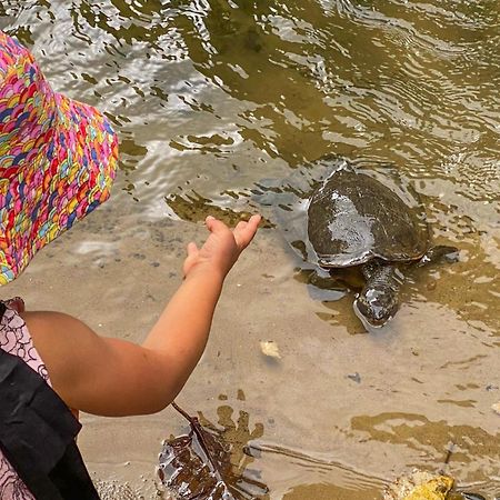 Tasman Holiday Parks - Cairns Cool Waters Buitenkant foto