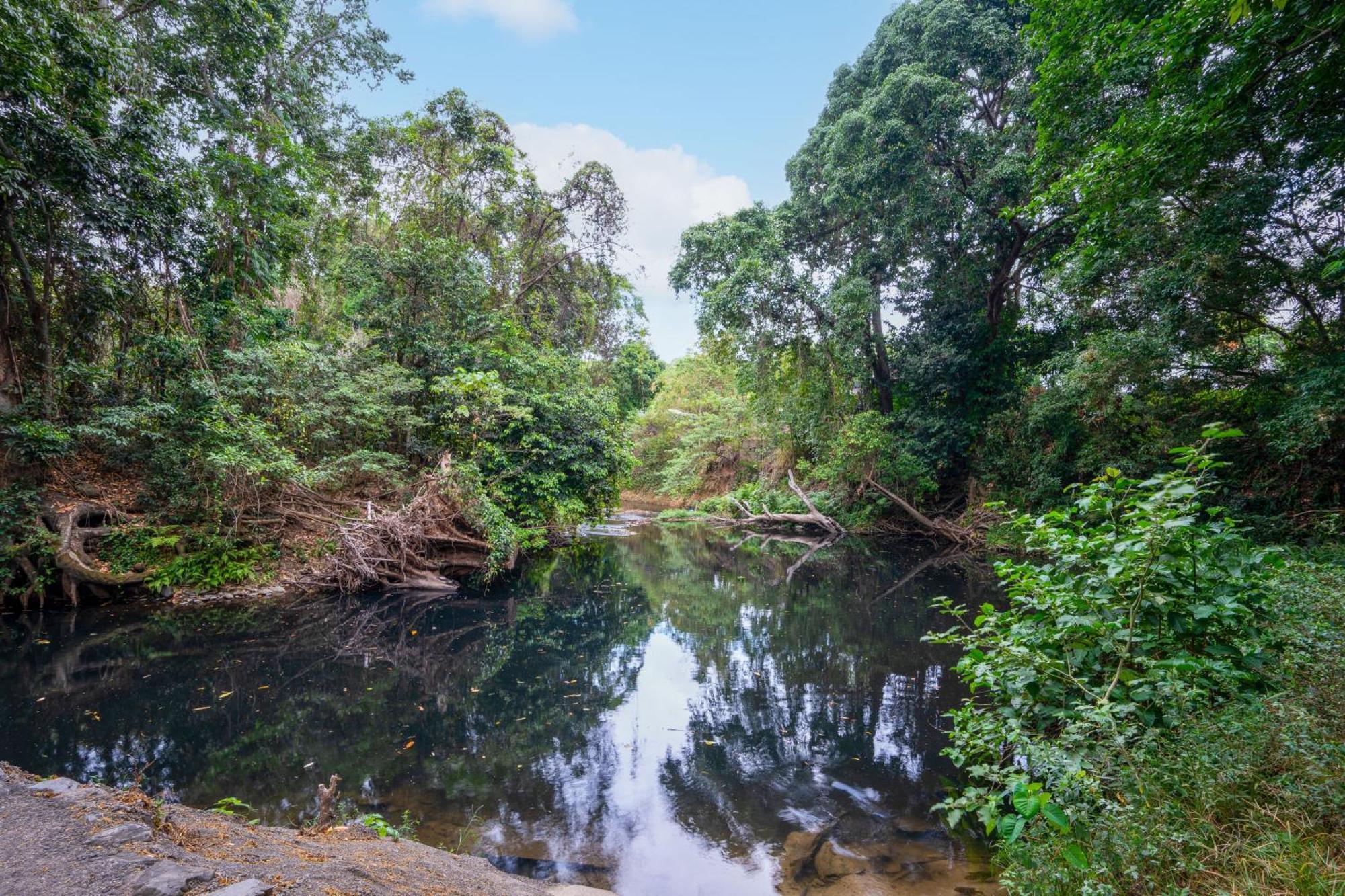 Tasman Holiday Parks - Cairns Cool Waters Buitenkant foto