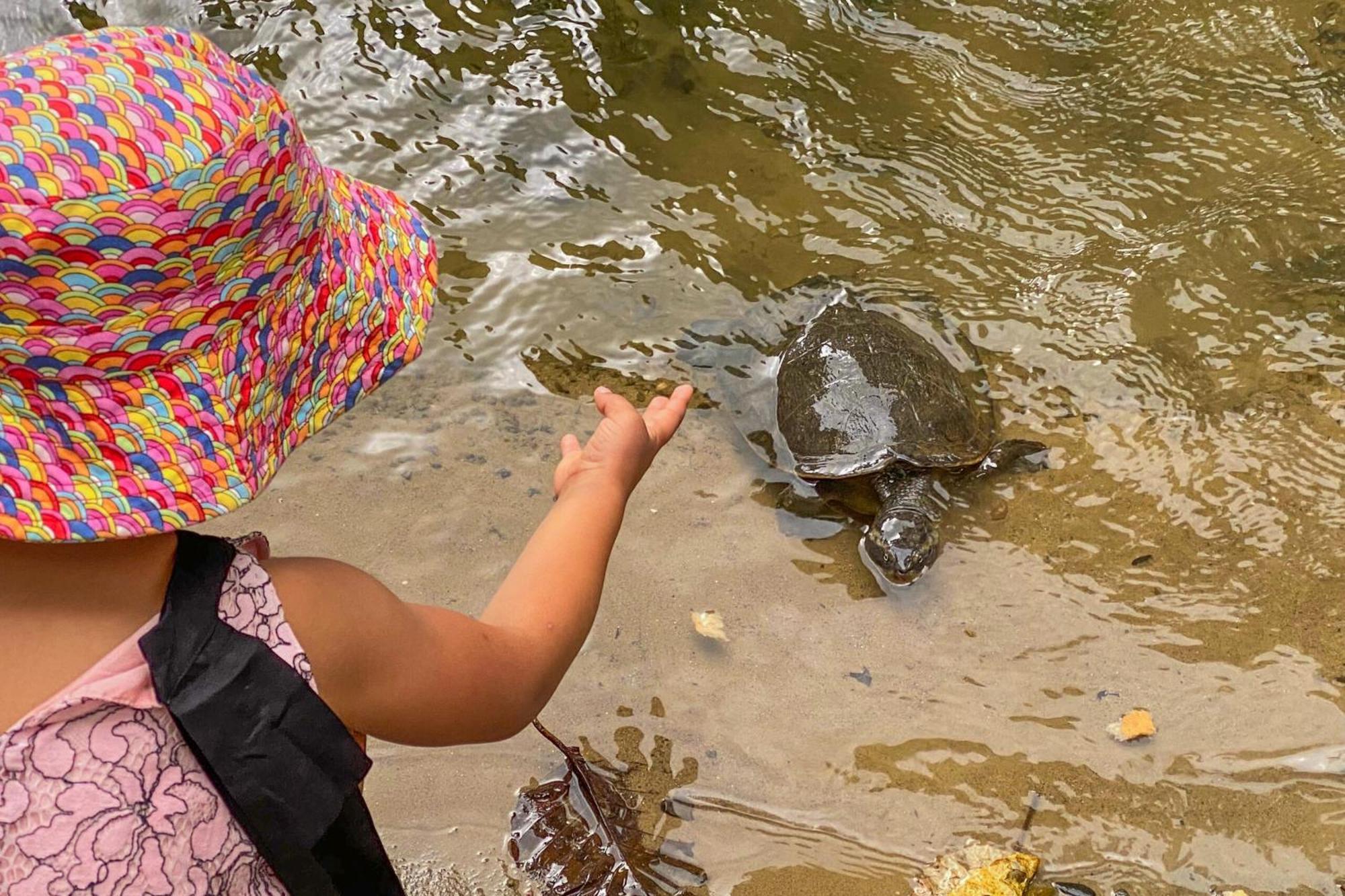 Tasman Holiday Parks - Cairns Cool Waters Buitenkant foto